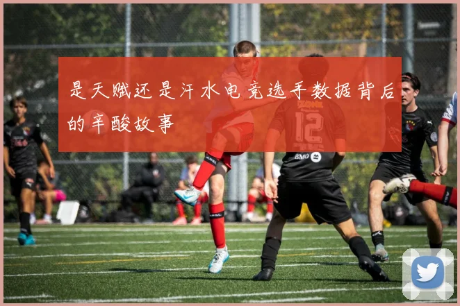是天赋还是汗水电竞选手数据背后的辛酸故事