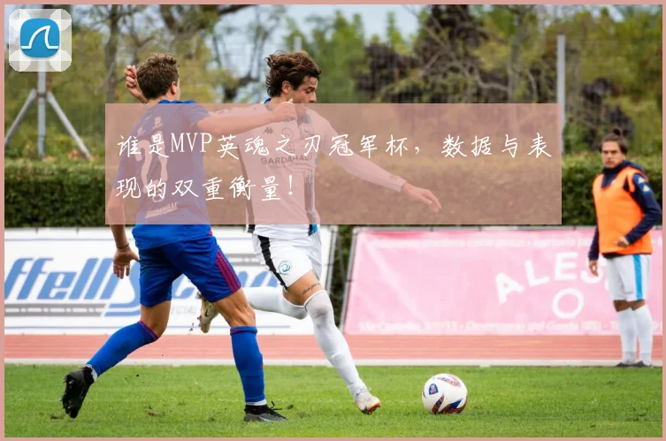谁是MVP英魂之刃冠军杯，数据与表现的双重衡量！
